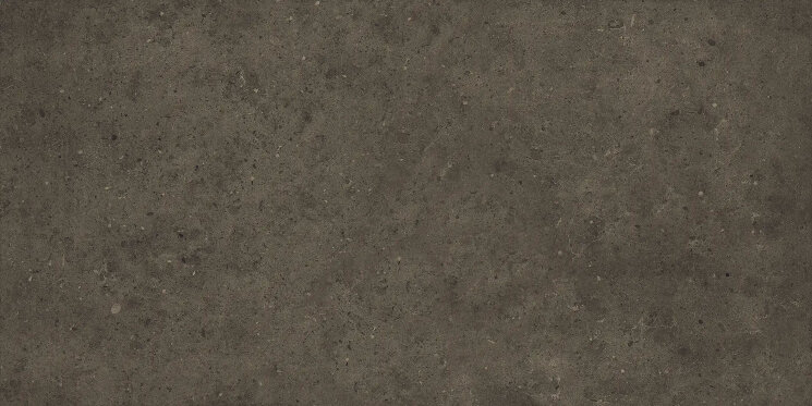 Плитка Brera Grafite Ret - 60x120 HBRP54C2 Brera з колекції Brera Herberia