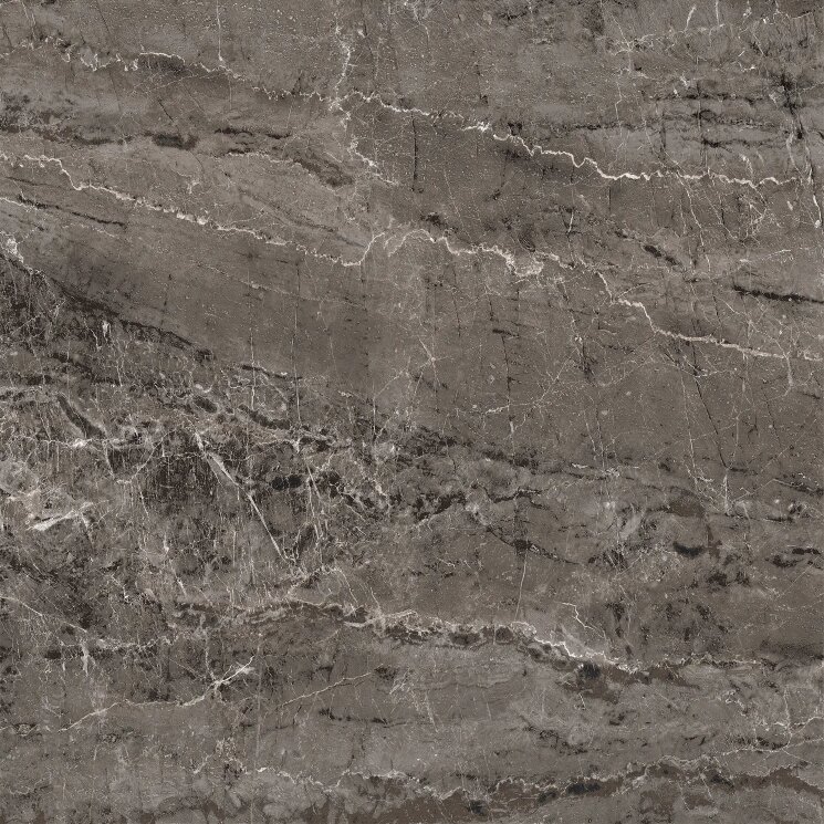 Плитка 119.2x119.2 0163312 Royal Dark GreyLxRt Ricchetti Pure з колекції Pure Ricchetti