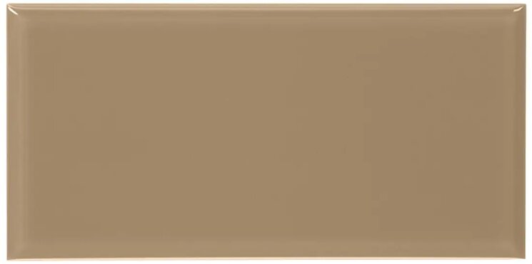 Плитка 10x20 Azulejo Amaranda Biselado Brillo Mushroom Complementto 10x20 з колекції 10x20 Complementto