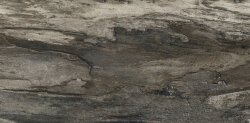 Плитка (30x60) 634D8R Grey Bark Rett L - Petrified Tree