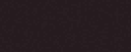 Плитка Negro Mate 20x50 Satinados Vives з колекції Satinados Vives Плитка Negro Mate 20x50 Satinados Vives з колекції Satinados Vives