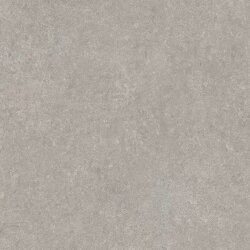 Плитка 60x60 Elemen. St. Grey Sandstone Nat Ret - Elemental Stone of Cerim - 766946