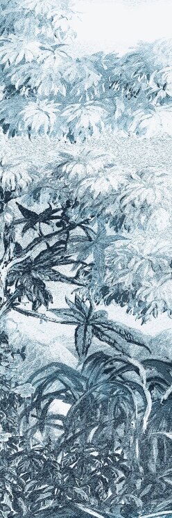 Плитка 100x300 BLCA123 B Glossy Bulbo Daintree з колекції Daintree Bulbo Плитка 100x300 BLCA123 B Glossy Bulbo Daintree з колекції Daintree Bulbo