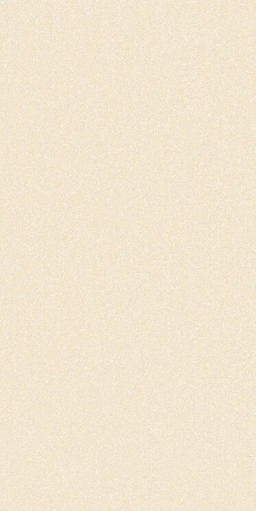 Плитка Grains Ivory - 60x120 4101184 Nok з колекції Nok 41ZERO42