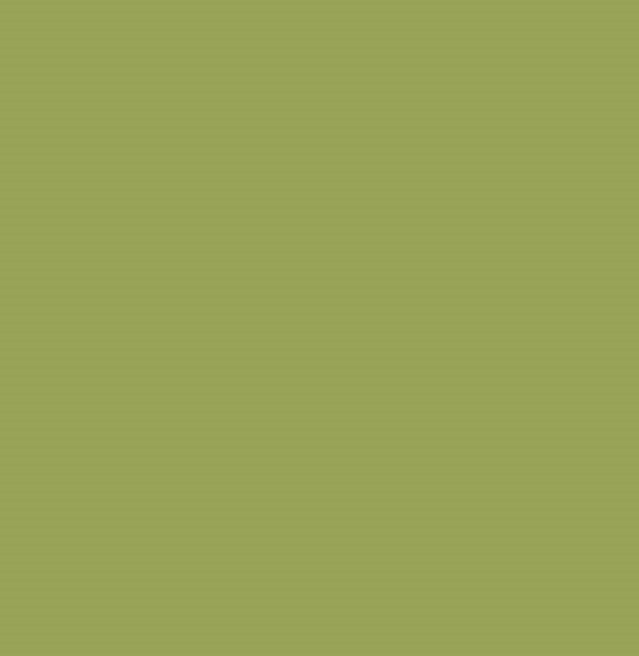 Плитка (60x60) Green Polished - Colors з колекції Colors Todagres