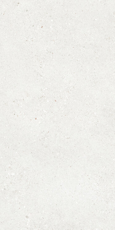 Плитка 60x119,8 Frammenti 60119 Bianco Ret - Frammenti - PF00017659 з колекції Frammenti Sintesi