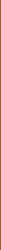 Профіль Dripart Stick Bronze - 0.5x120 CSASTKBZ12 Dripart