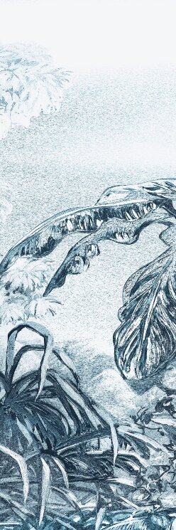 Плитка 100x300 BLCA123 C Glossy Bulbo Daintree з колекції Daintree Bulbo Плитка 100x300 BLCA123 C Glossy Bulbo Daintree з колекції Daintree Bulbo