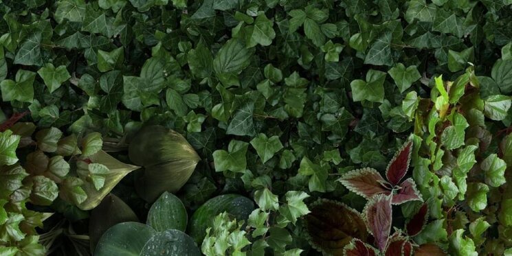 Декор Jane D 50x100 Paper41 Pro 41zero42 з колекції Paper41 Pro 41zero42