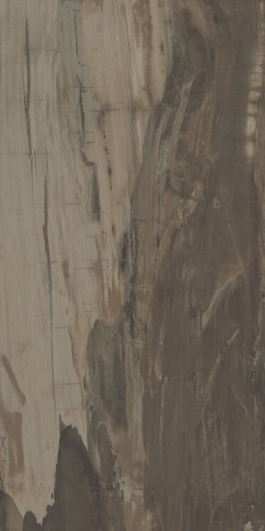 Плитка (49.6x99.5) PO160RL Petrified Wood Brown Rett/Lapp - Petrified Wood з колекції Petrified Wood Ascot Плитка (49.6x99.5) PO160RL Petrified Wood Brown Rett/Lapp - Petrified Wood з колекції Petrified Wood Ascot