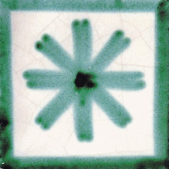 Декор (20x20) Stellina20 IDecori - Cotto Salernitano з колекції Cotto Salernitano Giovanni De Maio