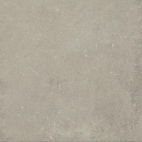 Плитка Neutral Gris 120x120 Esprit Rex з колекції Esprit Rex