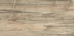 Плитка (30x60) 638D1R Core Beige Tiger Rett L - Petrified Tree