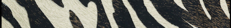 Бордюр (5x40) Zeb 050 F. Do Bianco Zebra - Zoo Design з колекції Zoo Design Horus Art