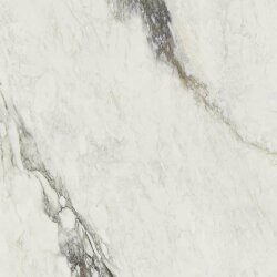 Плитка 80x80 Etoile Renoir Glossy Ret - Etoile de Rex - 761670