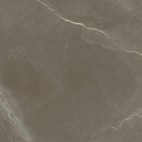 Плитка Rectificado Pulido Gris 98x98 1804 Porcelanite Dos з колекції 1804 Porcelanite Dos