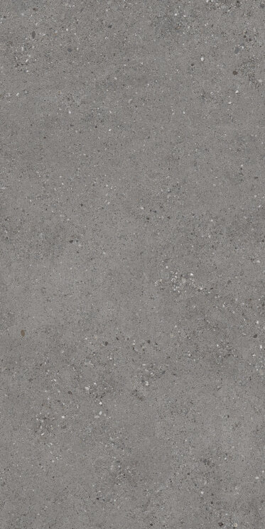 Плитка 60x119,8 Frammenti 60119 Fumo Ret - Frammenti - PF00017663 з колекції Frammenti Sintesi Плитка 60x119,8 Frammenti 60119 Fumo Ret - Frammenti - PF00017663 з колекції Frammenti Sintesi