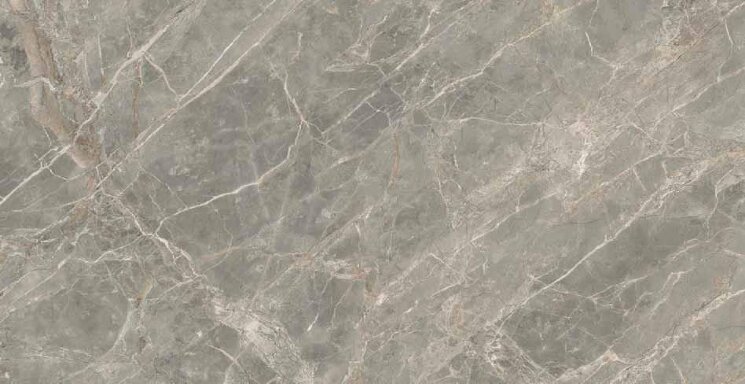 Плитка Gris Glossy 6 mm 60x120 Etoile Rex з колекції Etoile Rex