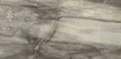 Плитка (30x60) 638D8R Core Grey Panther Rett L - Petrified Tree