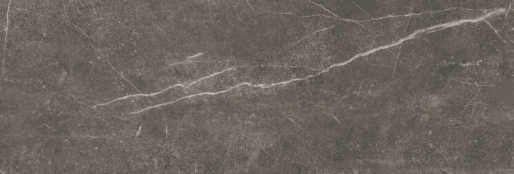 Плитка WB3310L Shetland Dark 33.3x100 з колекції Shetland Baldocer