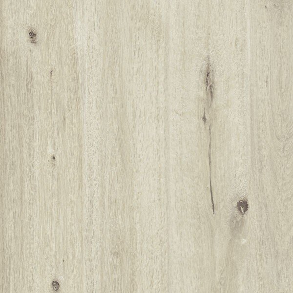 Плитка 60x60 Woodtale Xt20 Betulla Rt - Woodtale XT20 - R4XF з колекції Woodtale XT20 Ragno