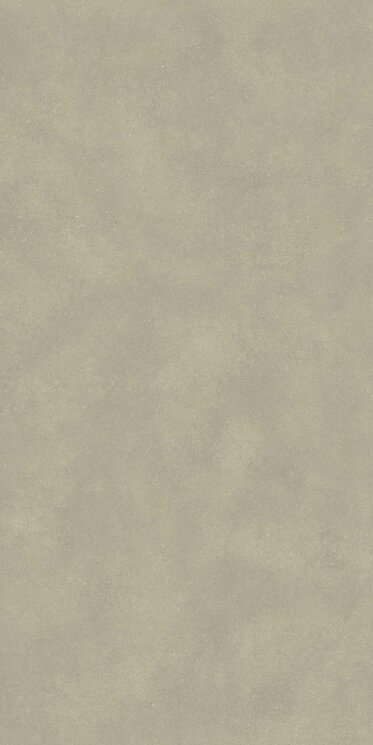 Плитка 60x120 Omni Platina Matt Ret-Omni-312BD386U1 з колекції Omni Revigres