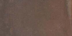 Плитка 49Ct 45x90 Cottofaenza La Faenza