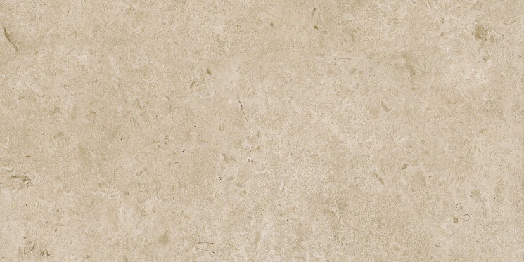 Плитка 60x120 Caracter Greige Rett. - Carácter - M979 з колекції Caracter Marazzi