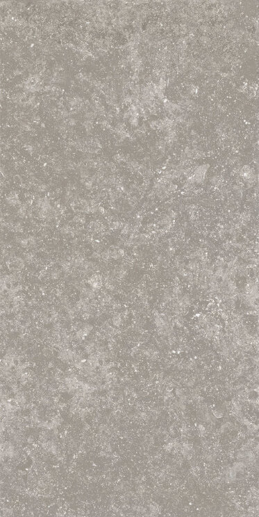 Плитка (120x60) PK612551 Northstone Fog Levigato Silk - Northstone з колекції Northstone Ariostea