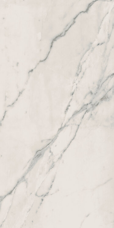 Декор 120x240 Mte. C. Silver Book Match. A Ref. - Motif Extra - E583 з колекції Motif Extra Marca Corona