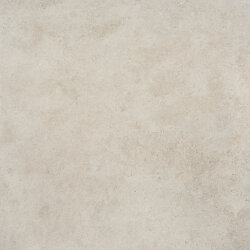 Плитка 60,3x60,3 Soil - Tracks - FGWTK30