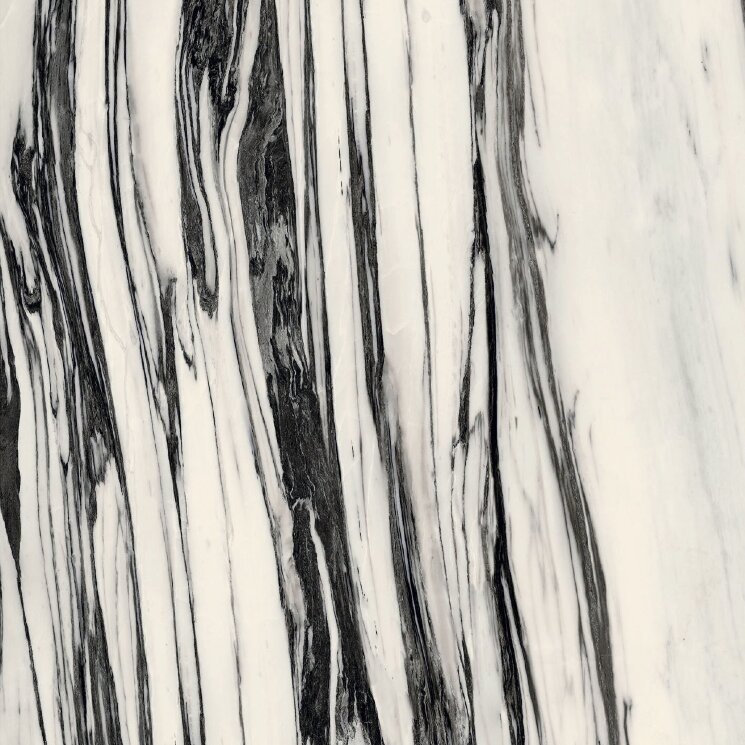 Плитка 120x120 B&Wfall High - Glo6 Mm Ret - B&W_Marble - 765579 з колекції B&W_Marble Floor Gres