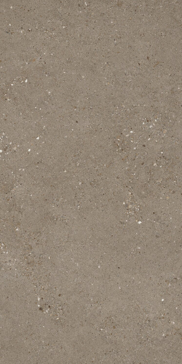 Плитка 60x119,8 Frammenti 60119 Terra Ret - Frammenti - PF00017661 з колекції Frammenti Sintesi