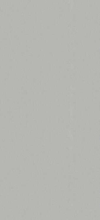 Плитка Concrete Finsbury - 80x180 98419 Ec1/22 з колекції Ec1/22 Cerdisa