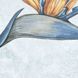 Плитка Botanic Sapphire - 25x25  Nusa