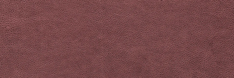 Плитка Sophia Rect - 30x90 Devotion Devotion з колекції Devotion Gambini