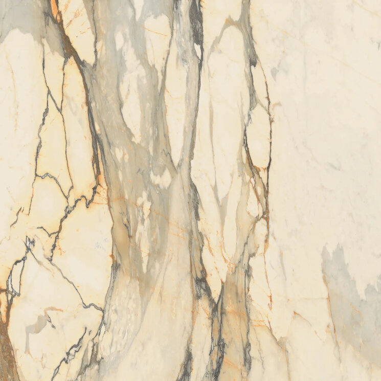 Плитка MARMOTECA ANTIBR LUXR - 120x120 G0027050 La Marmoteca з колекції La Marmoteca Gardenia Orchidea