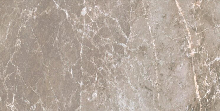 Плитка (29.7x59.5) 7683885 Maxima earth grey nat rett - Maxima з колекції Maxima Saime