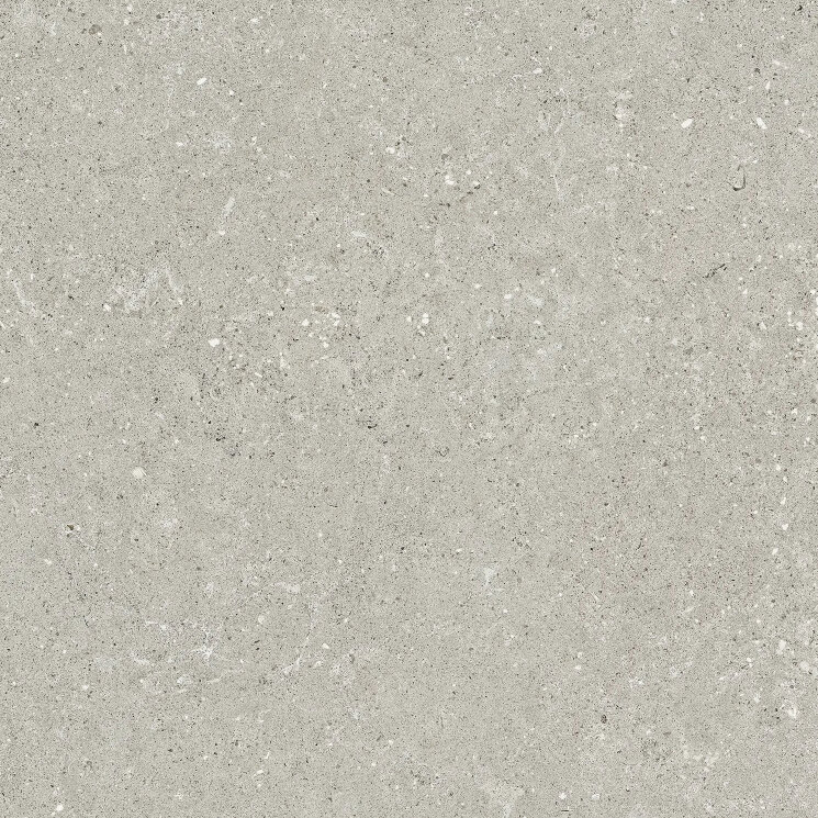 Плитка HWD 05 Grey Rett - 60x60 G9WD05R Wild з колекції Wild Del Conca