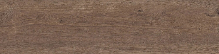 Плитка X 20 CHOCOLATE 20 R 11 RSP 2 - 30x120 PF60011818 Four Seasons з колекції Four Seasons Flaviker