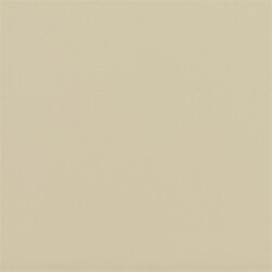 Плитка (60x60) ABE2 S. Almond 60Rt - Solid Colors