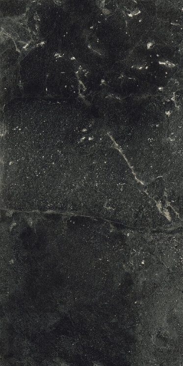 Плитка (60x30) P360549 Northstone Coal Naturale - Northstone з колекції Northstone Ariostea