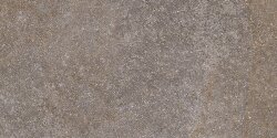 Плитка 60x120 Naturale R. - Pietra di Cembra - NQ94