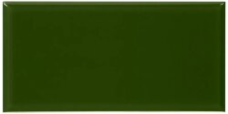 Плитка 10x20 Azulejo Amaranda Biselado Brillo Victorian green Complementto 10x20