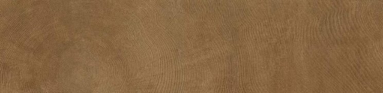 Плитка Ring Marrone Lucidato Rett 15x60 W Age Provenza з колекції W Age Provenza Плитка Ring Marrone Lucidato Rett 15x60 W Age Provenza з колекції W Age Provenza