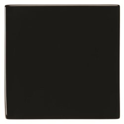 Плитка Clear Indus 4.8x4.8 Glassworks Original Style