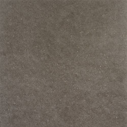 Плитка 60x60 Meteor Pulido Moka-Meteor-55ME25P