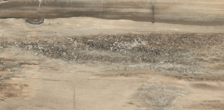 Плитка (45x90) 948D1R Core Beige Tiger Rett L - Petrified Tree з колекції Petrified Tree Emilceramica
