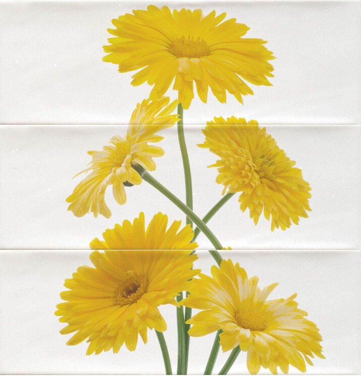 Декор 30x30,5 Royal Composici?n Margarita Lim?n-Royal з колекції Royal Cifre Декор 30x30,5 Royal Composici?n Margarita Lim?n-Royal з колекції Royal Cifre