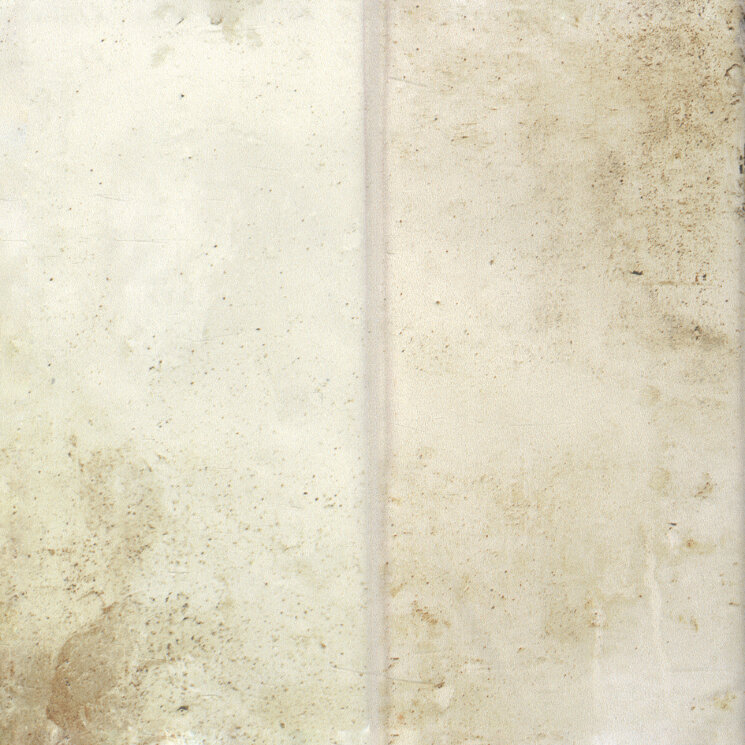 Плитка 20.1X20.1 Terre Ice Terre Aparici з колекції Terre Aparici